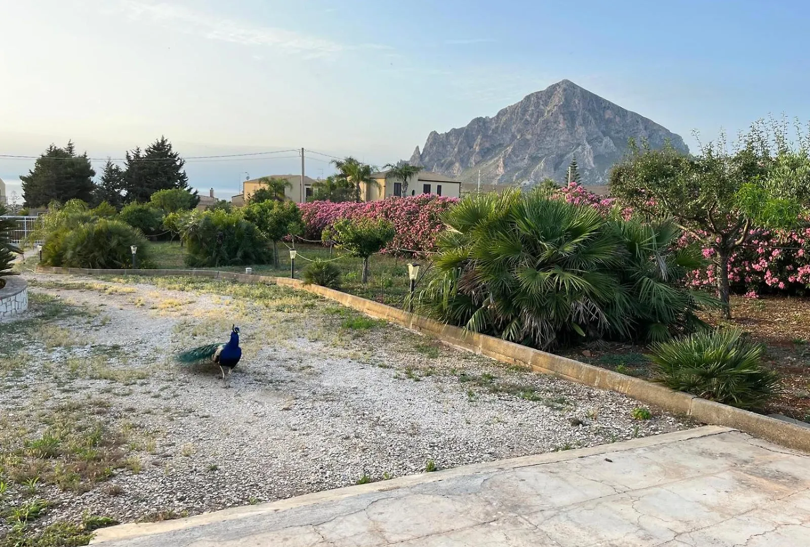 Villa Lea Custonaci Italy